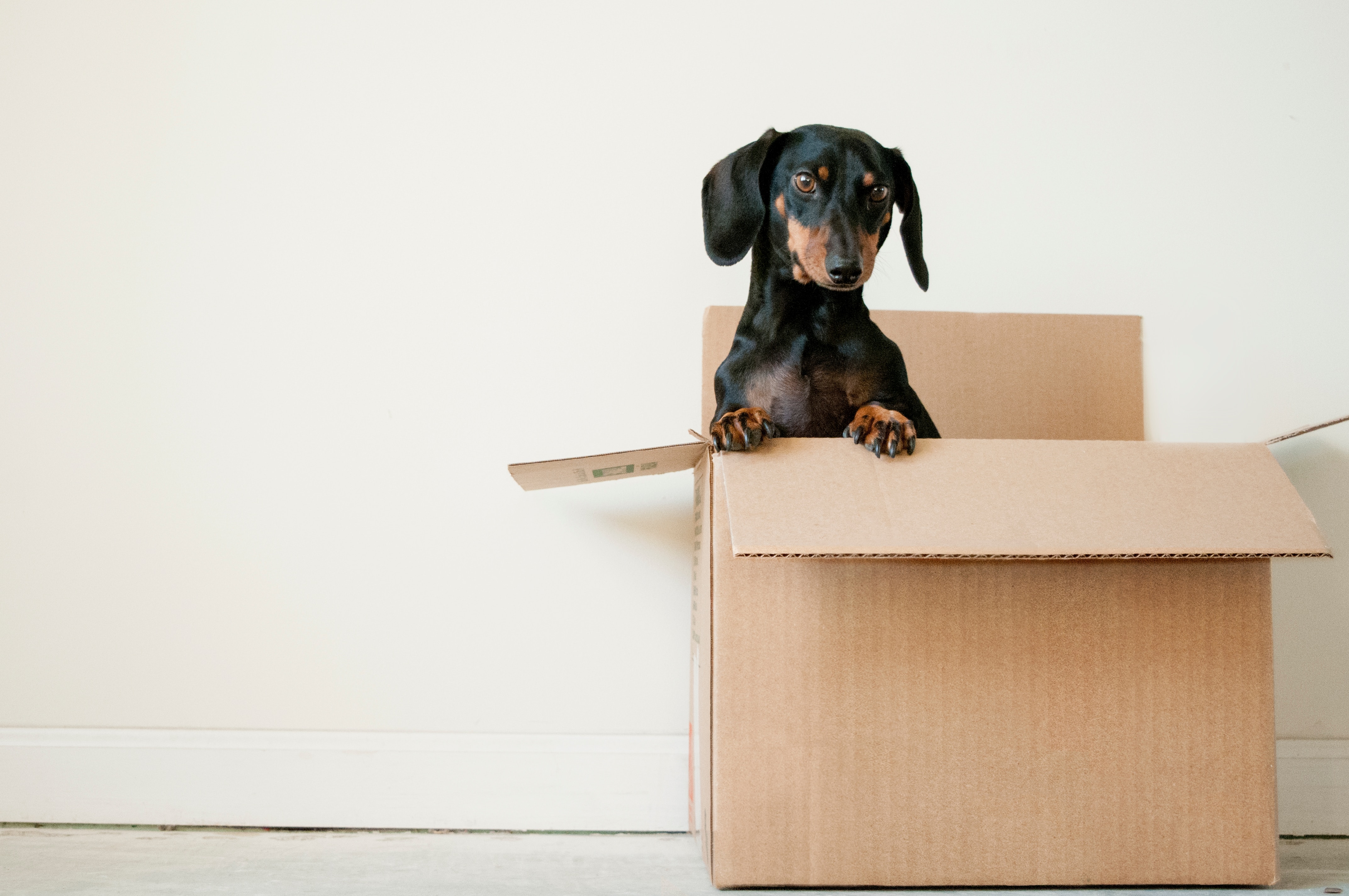 moving after divorce