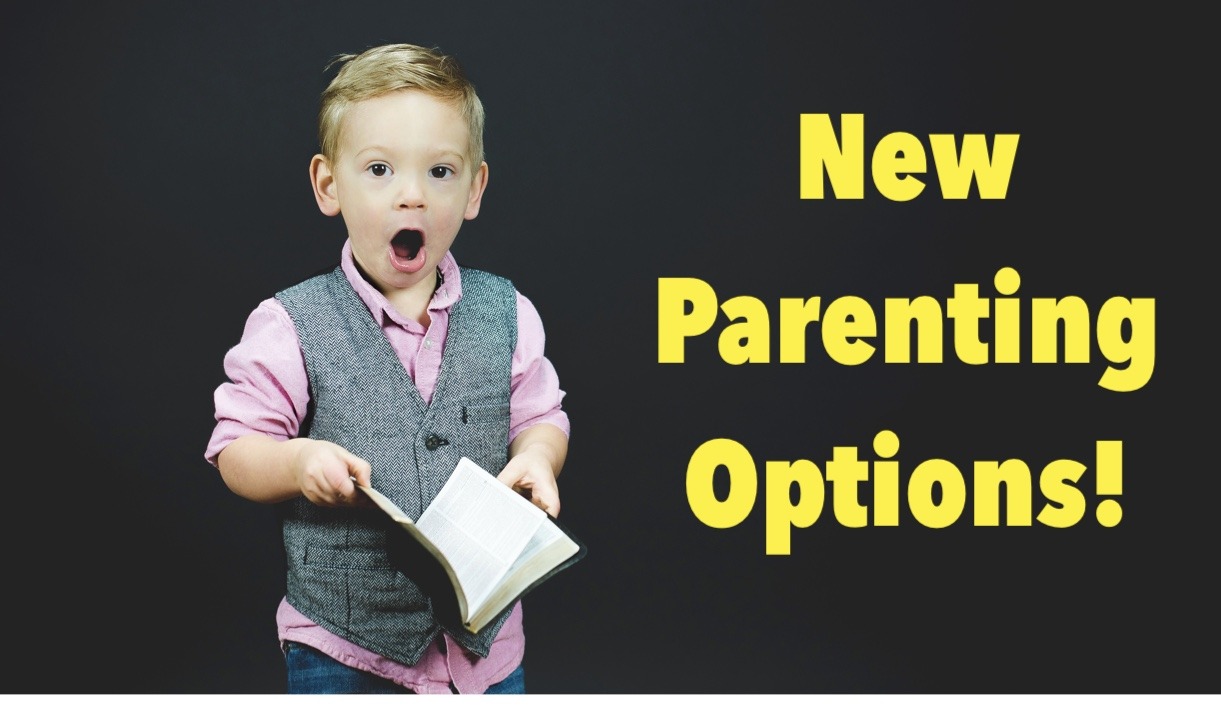 Parenting Plan Template